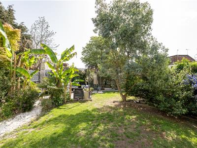 Picture 25